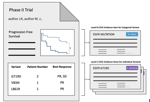 Obtaining Clinical and Case Study Evidence Items from clinical trial reports