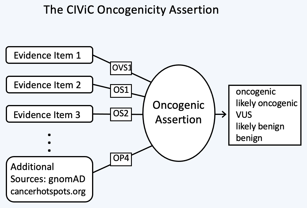 Oncogenicity Codes classify a variant using a 5-tier evaluation.